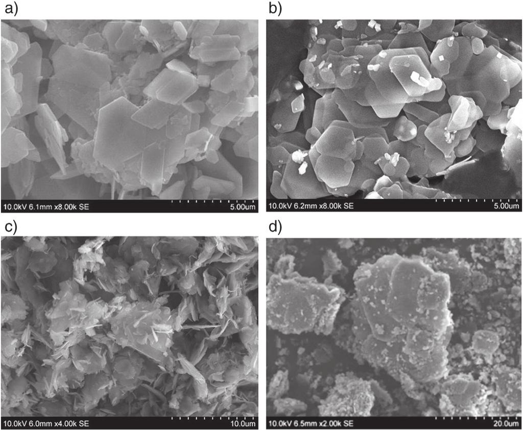 146 L.G. Baquerizo et al. / Cement and Concrete Research 73 (2015) 143 157 Fig. 2. SEM pictures of a) monocarboaluminate, b) hemicarboaluminate, c) strätlingite and d) hydroxy-afm.