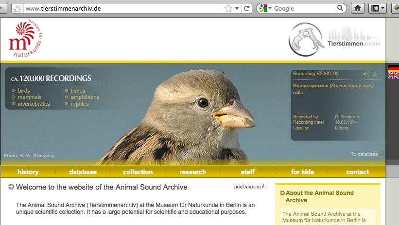 Tierstimmen archiv (animal sound archive) About 120,000 animal sound files. Well annotated, an extremely valuable resource. It can be used freely by anybody with a go