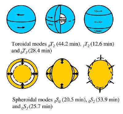 Normal modes 65 Each mode has a number and a particular way of deforming the Earth. The toroidal modes do not have any vertical component. They only produce a shear at the surface of the Earth.
