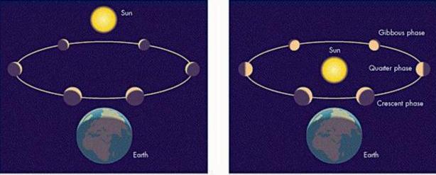 Phases of Venus Galileo s observation of Venus essentially ruled out the epicycles of the geocentric system.