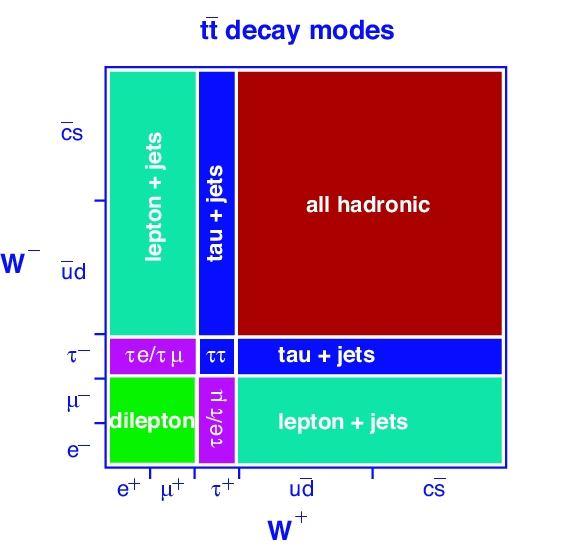 Top quark production and decay Top quark pair production via strong interaction.