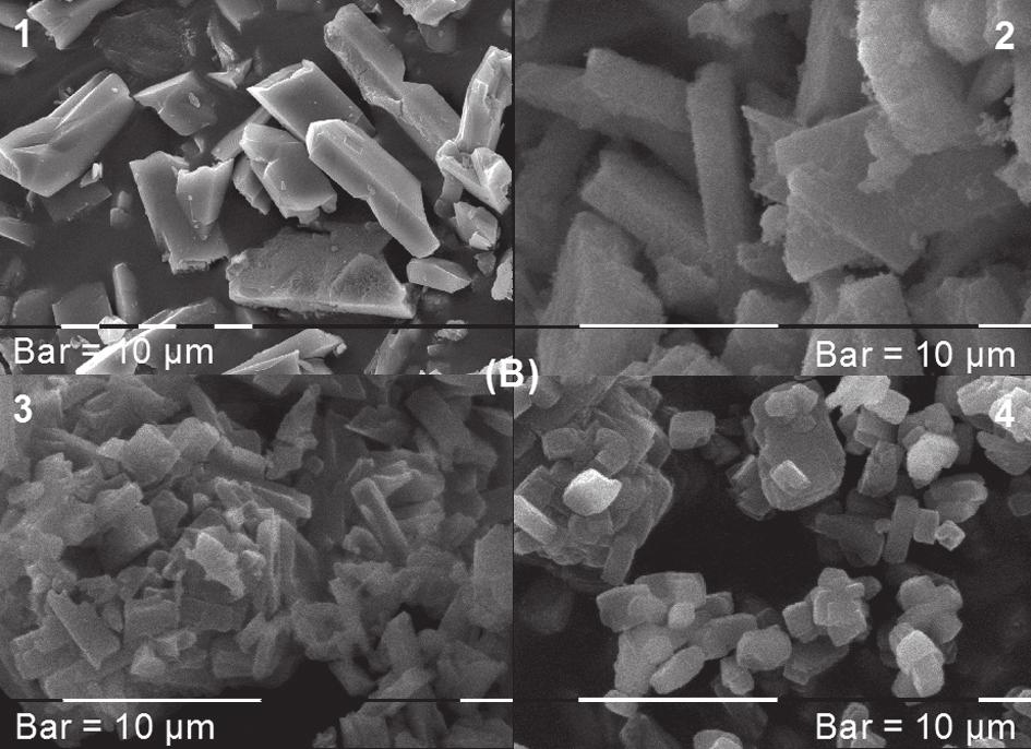 seeds shows clearly the effect that temperature and addion of seeds to the initial gel have upon the crystallization time. SEM micrographs of the samples synthesized with 22.