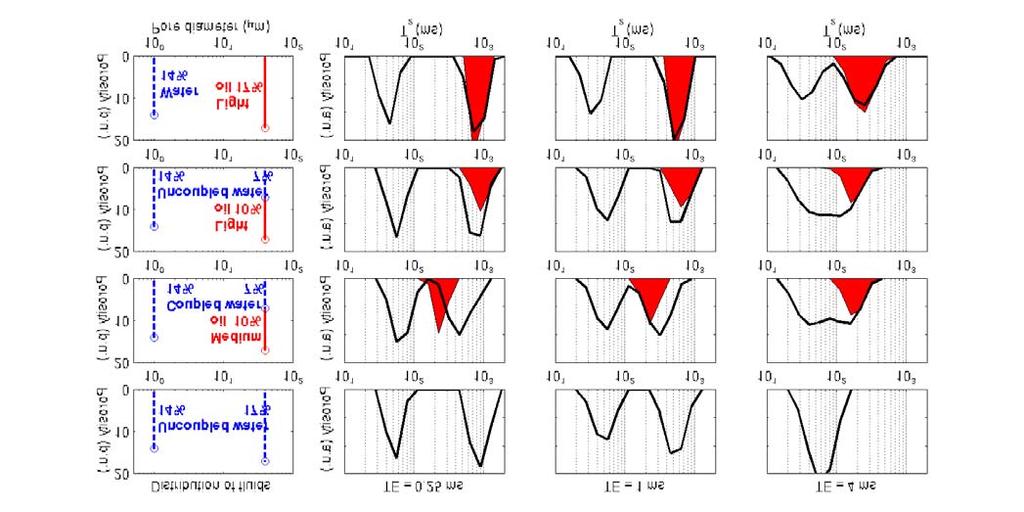 QUANTIFICATION OF MULTIPHASE FLUID SATURATIONS IN COMPLEX PORE GEOMETRIES SPE 77399 FROM SIMULATIONS OF NUCLEAR MAGNETIC RESONANCE MEASUREMENTS 13 CASE 3: bimodal distribution, low/high T 2