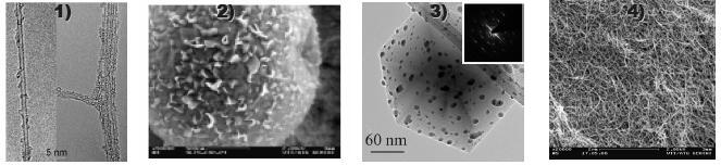 Structural characterization of nanotubes and nanoparticles by electron microscopy 4).