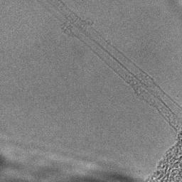 NanoBuds TM on FEI Titan TEM at 80kV with image C s -corrector - Movie Individual Fullerene Cluster of
