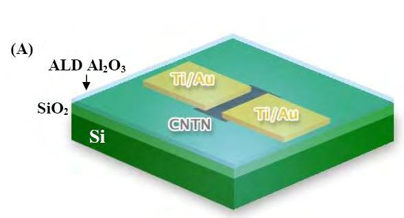 SWCNTN FETs on Si and Kapton substrates