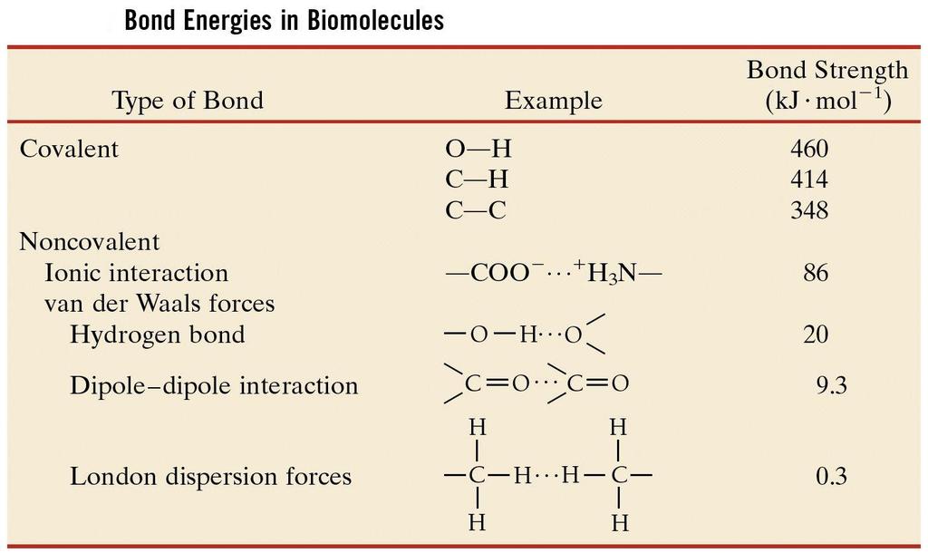 Noncovalent - weak forces are the principal interactions in