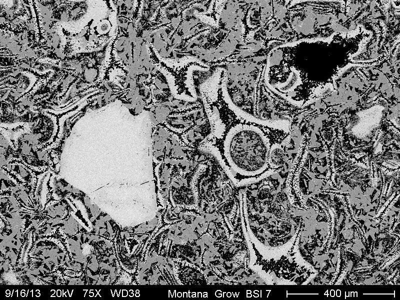 BSE image of sanidine phenocryst, sanidine rimming vesicles and volcanic glass in the matrix.
