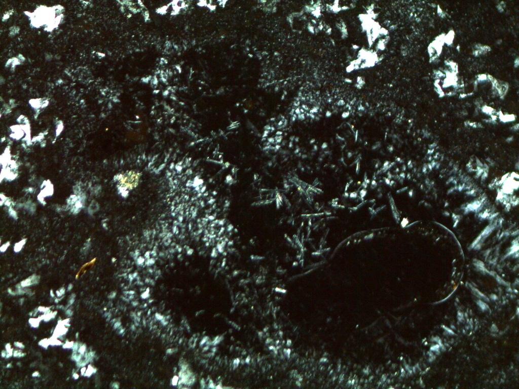 Most of the matrix is volcanic glass;