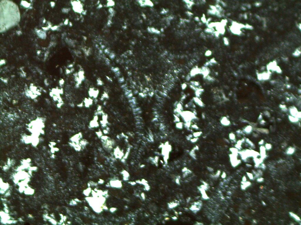 Figure 7: XN Photomicrograph 10X; volcanic glass