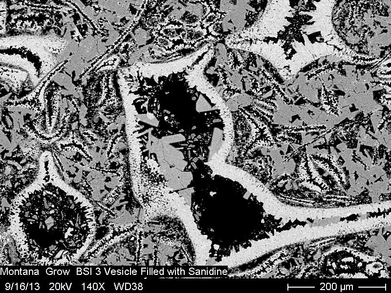 BSE image of volcanic glass (darker gray), with brighter