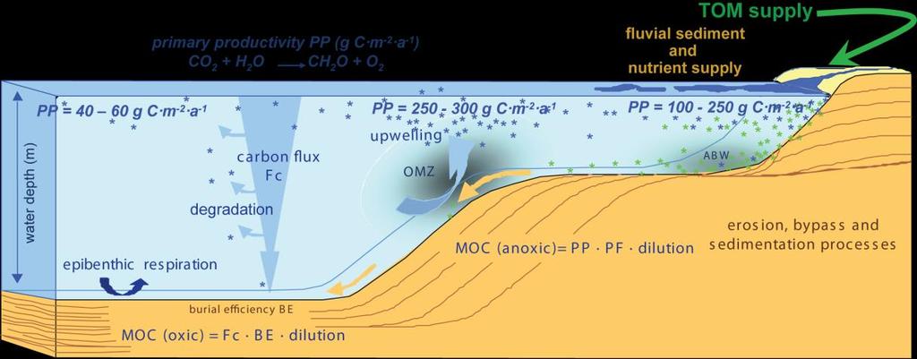 OF-Mod OF-Mod = Organic Facies Model: calculates the original distribution of organic matter in a source rock.
