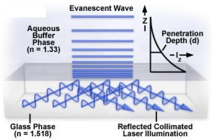 The evanescent wave in TIR The energy of the evanescent wave is localized near the interface.