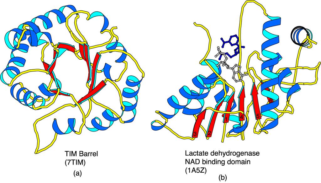 Protein Structure Determination Why Bother With Structure? The amino acid sequence of a protein contains interesting information.
