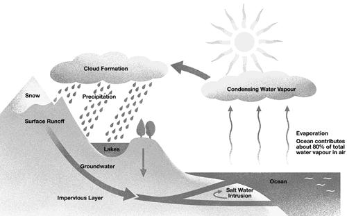 The Water Cycle: o Liquid water on the Earth s surface is heated by the Sun and evaporates, turning into water vapor