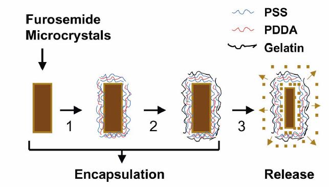 Encapsulation of drug microcrystals for sustained release purposes In step 1, precursor layers of (PSS/PDDA) are assembled onto positively charged furosemide microcrystals.