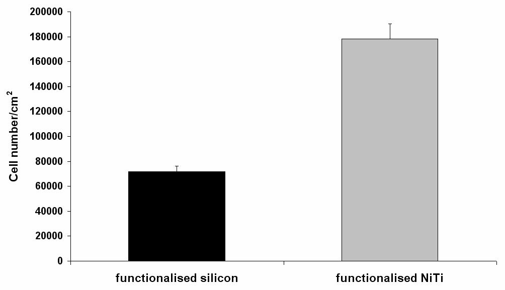 Results I The amount of adherent cells estimated over time resulted to be higher on the functionalized materials than on the surface of their negative controls.
