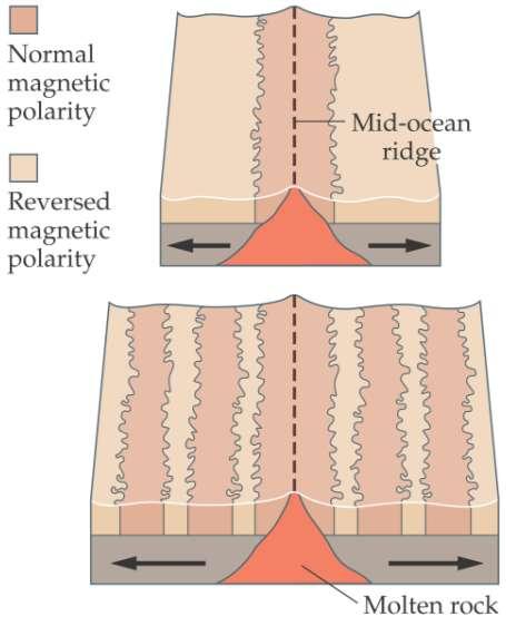 22-8 Magnetism in Matter Permanent magnets are ferromagnetic; such materials can