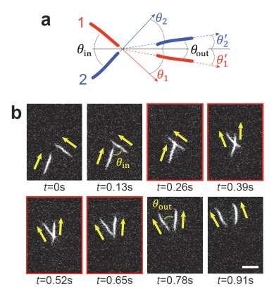 Supplementary Figure 1. (a) Definition of scattering geometry. (b) Example of a collision event. The images inside the red boxes correspond to those during a collision event.