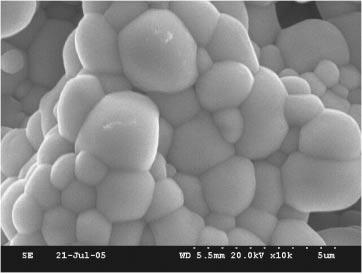 Jpn. J. Appl. Phys., Vol. 45, No. 4A (6) 5 µ m 2 µ m 5 µ m 2 µ m Fig. 2. SEM images of specimens sintered at 1 C for 2 h in 0.8Pb(Zr 0:5 Ti 0:5 )O 3 0.