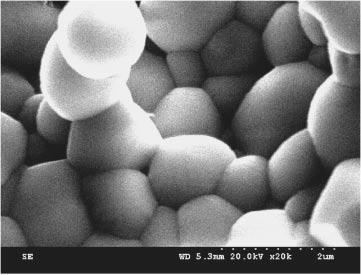Jpn. J. Appl. Phys., Vol. 45, No. 4A (6) 2 µm 2 µm 2 µm 2 µm Fig. 5. SEM images of specimens in 0.8Pb(Zr 0:5 Ti 0:5 )O 3 0.