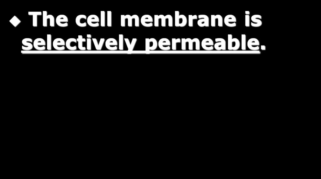 9:01 AM This type of membrane limits what can