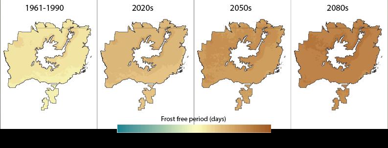 Figure 17: Current and projected future frost free period for white spruce Control Parentage Program (CPP) region D.