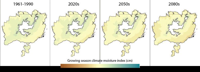 Figure 18: Current and projected mean growing season (May-September) precipitation for white spruce Control Parentage Program (CPP) region D.