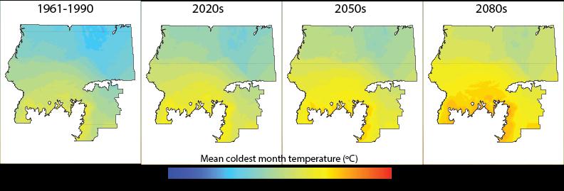 Figure 20: Current and projected future mean coldest month temperature for white spruce Control Parentage