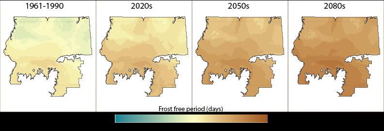 Figure 23: Current and projected future frost free period for white spruce Control Parentage Program (CPP) region D1.
