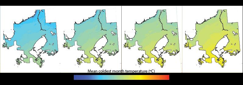 Figure 146: Current and projected future mean coldest month temperature for balsam poplar Control Parentage Program (CPP) region Pb1.