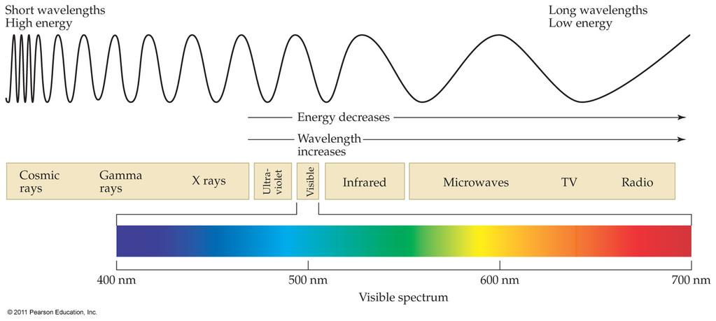 Radiant Energy Spectrum The complete radiant energy spectrum is an uninterrupted band, or continuous spectrum.