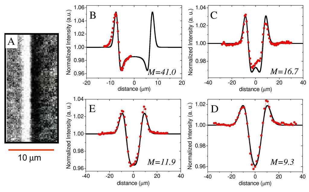 Fig.. Experimental results about the Kevlar fiber. A) Measured intensity with geometrical magnification M = 4. The measurement shows the phase contrast at the interface air-fiber.