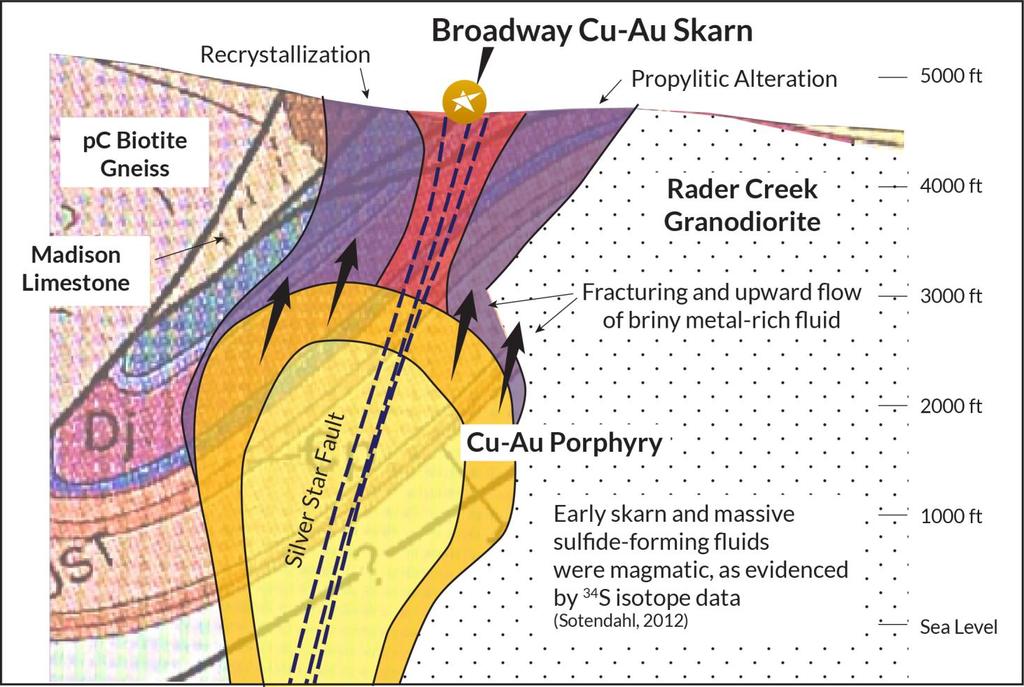Broadway Cu-Au Skarn Overview Interpretive cross section showing an inferred porphyry system at depth