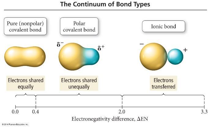 As can be expected, as the electronegativity difference between the bonding atoms