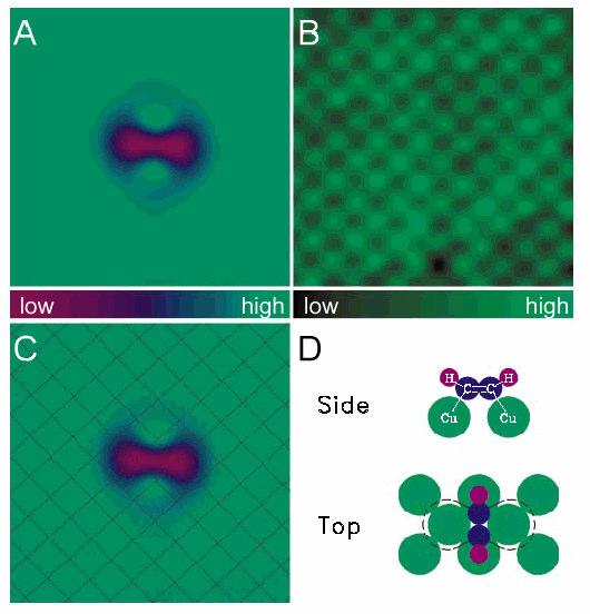 Single Molecule Vibrational Spectroscopy Vibration excitation of the molecule occurs when tunneling electrons have enough