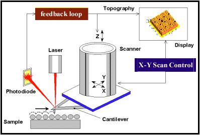 Atomic Force Microscope (AFM) Sample: conductor, nonconductor, etc Force