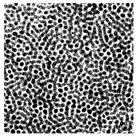 Example: TEM images of Co-nanoparticles