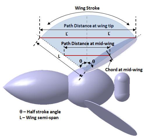 (a) Flapping direction FIGURE 2. WING VARIATION OF PATH DISTANCE FOR AN ELLIPTIC (b) Instantaneous wing flapping positions FIGURE 1.