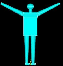 Human body models with: a) the arms are lowered along a body; b) one arm is raised on angle of degrees; c) one arm is