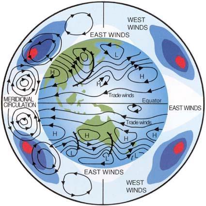 Global Surface Winds latitude 60-90 N NE 30-60 N SW 0-30 N