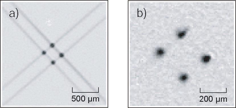 All-optical generation and photoassociative probing of sodium Bose-Einstein condensates R. Du