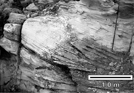 Sedimentology and Structure of Growth Faults at the Base of the Ferron Sandstone Figure 18.