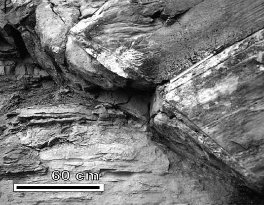 Sand and shale smear within a narrow fault zone separating beds in the heterolithic pre-growth section. cycles.
