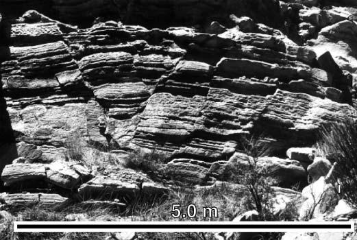 Sedimentology and Structure of Growth Faults at the Base of the Ferron Sandstone Figure 24. Conjugate fault-set B cutting flat-stratified sands in the hanging wall of Fault-set C. 4 in) wide.