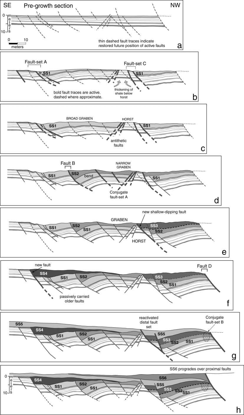Sedimentology and Structure of Growth Faults at the Base of the Ferron Sandstone Figure 26. Structural restoration of the proximal fault exposure.