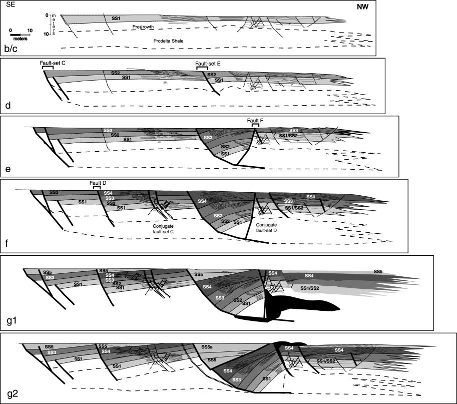 J.P. Bhattacharya and R.K Davies Figure 27. Structural restoration of the distal fault exposure. The deformation steps are referenced to the proximal fault evolution.