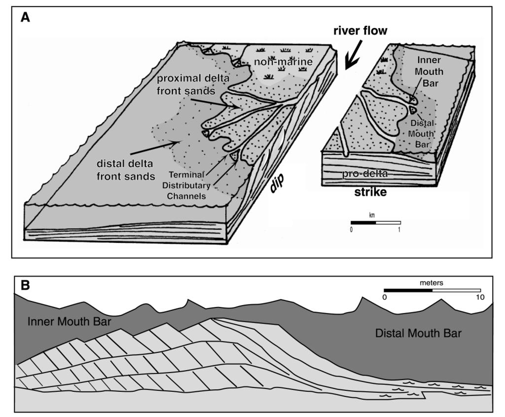 Northwest dipping beds in unfaulted strata at the southeast end of the outcrop reflect inclined delta front sandstone beds. Closeup of this area is shown in Figure 8. Figure 3.