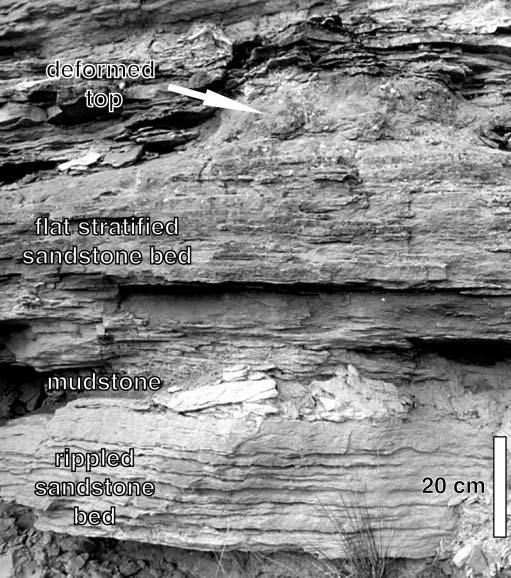 Overlying sandstone consists of flat-stratified and deformed strata. Figure 6.
