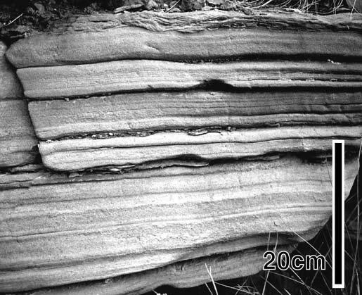 Sedimentology and Structure of Growth Faults at the Base of the Ferron Sandstone Figure 11.